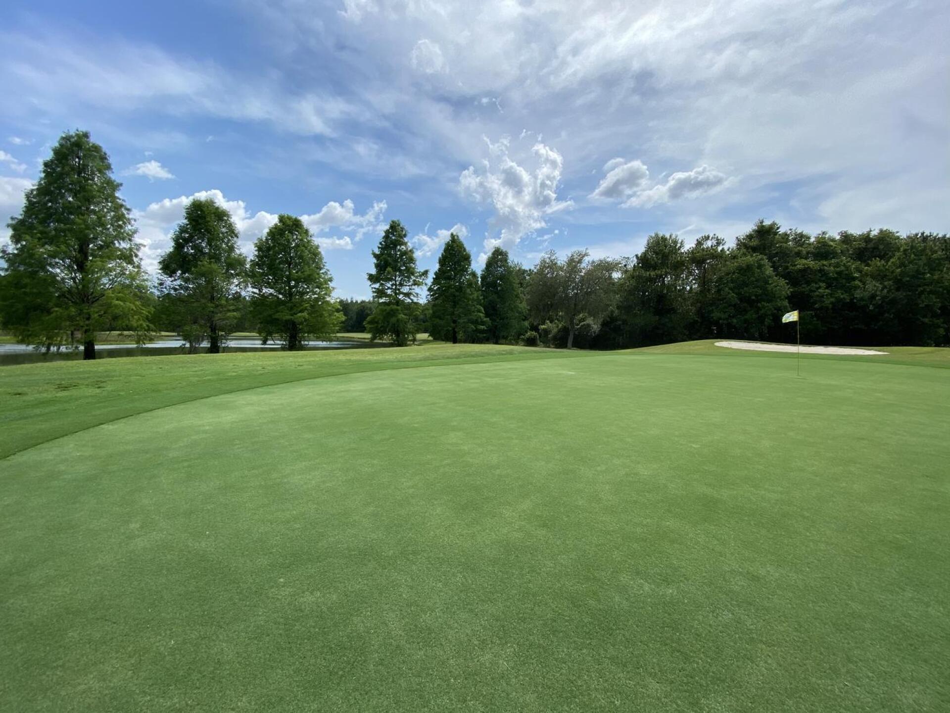 (Photo submitted by ENXNEbIaEQXTefXJPZcD on 07/19/2021)