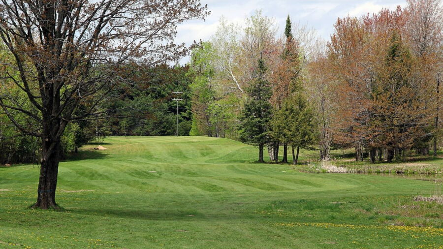 Maple River Resort