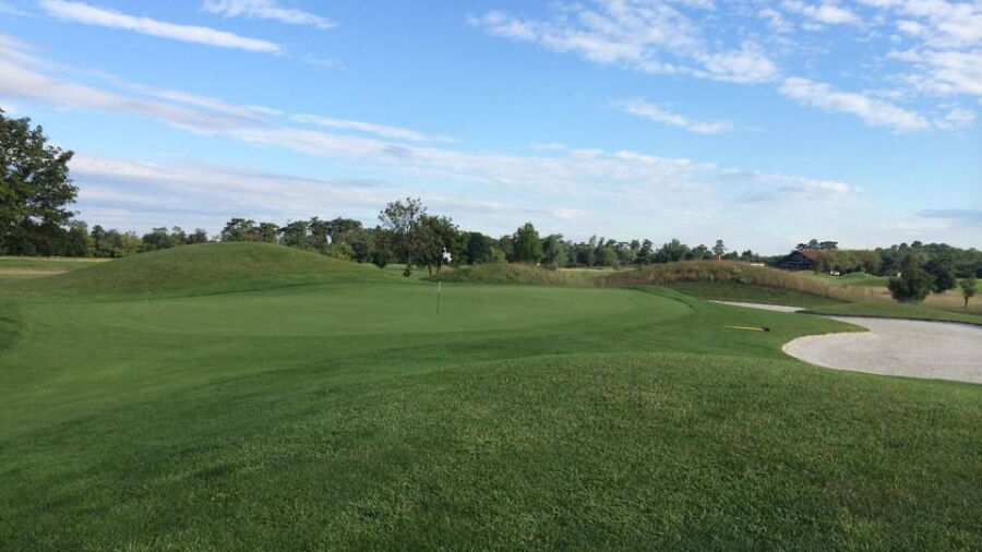 Schoenfeld GC