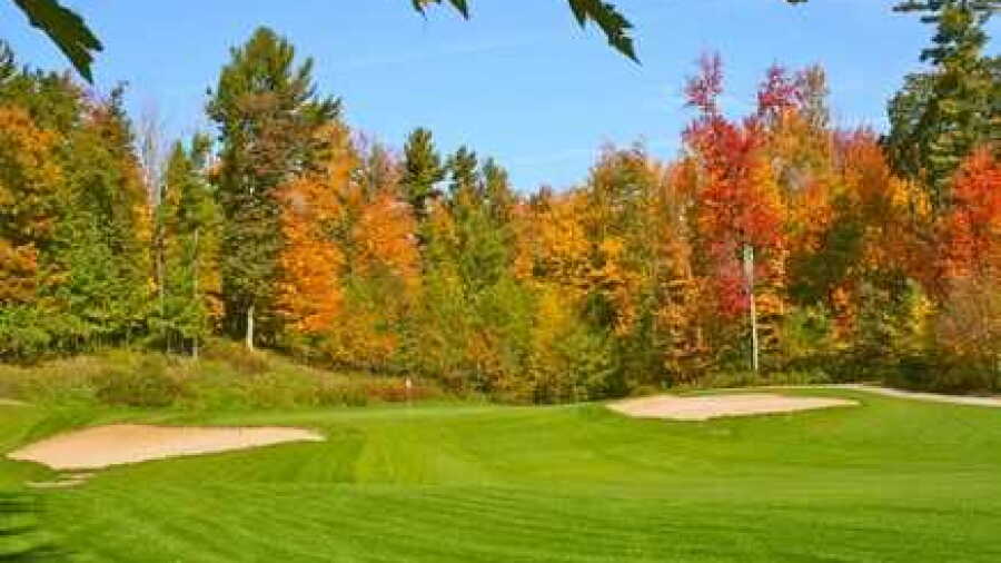 Glacier Wood GC: #13