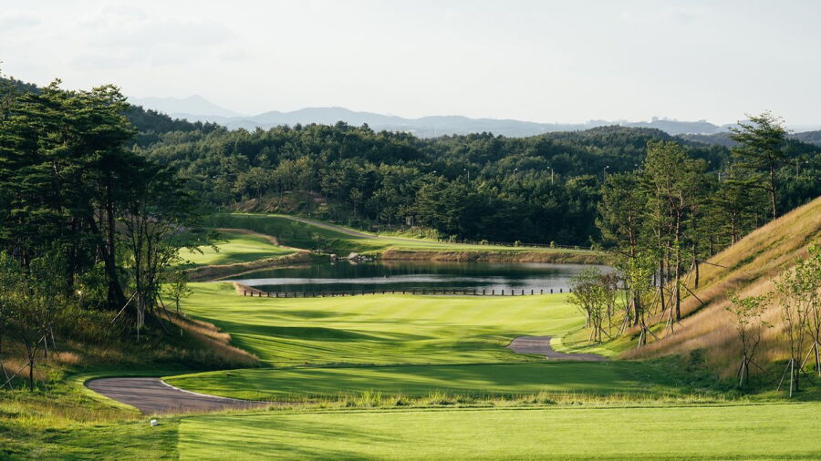Golden Beach Golf - New