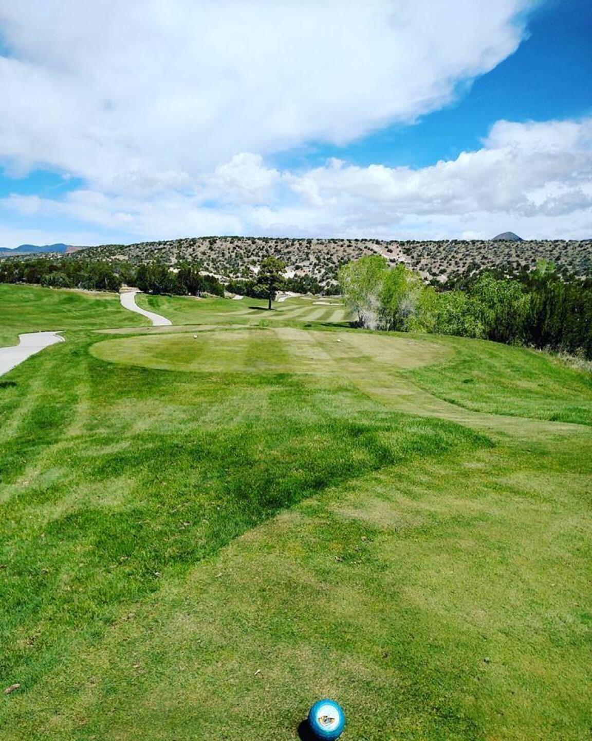 The hole that inspired my visit, I like trees in fairways (Photo submitted by sorenj on 04/26/2017)