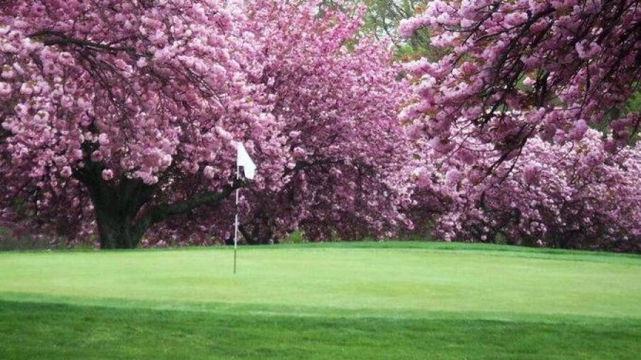 Mountain View GC
