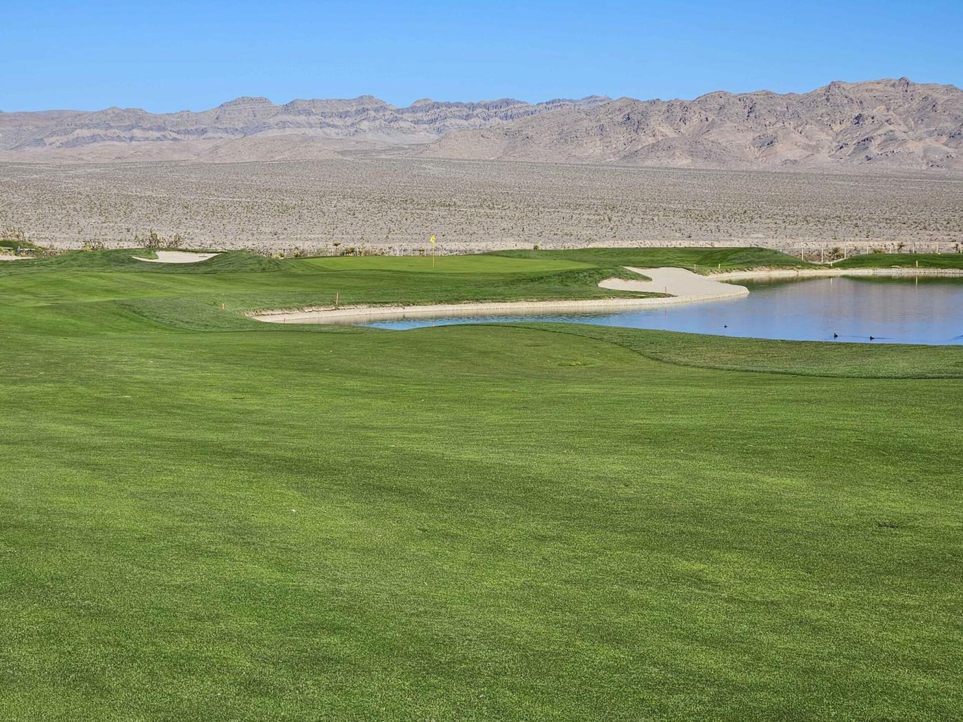 (Photo submitted by u314161622535 on 11/29/2025)