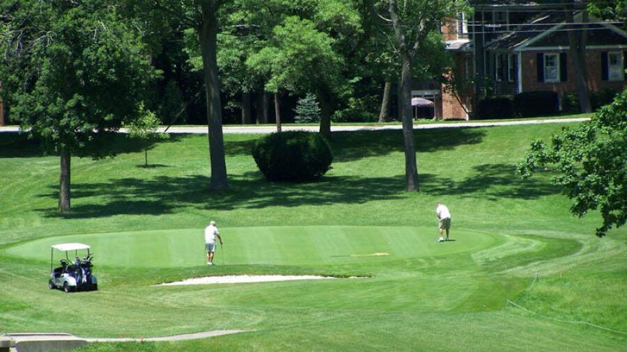 Moose GC