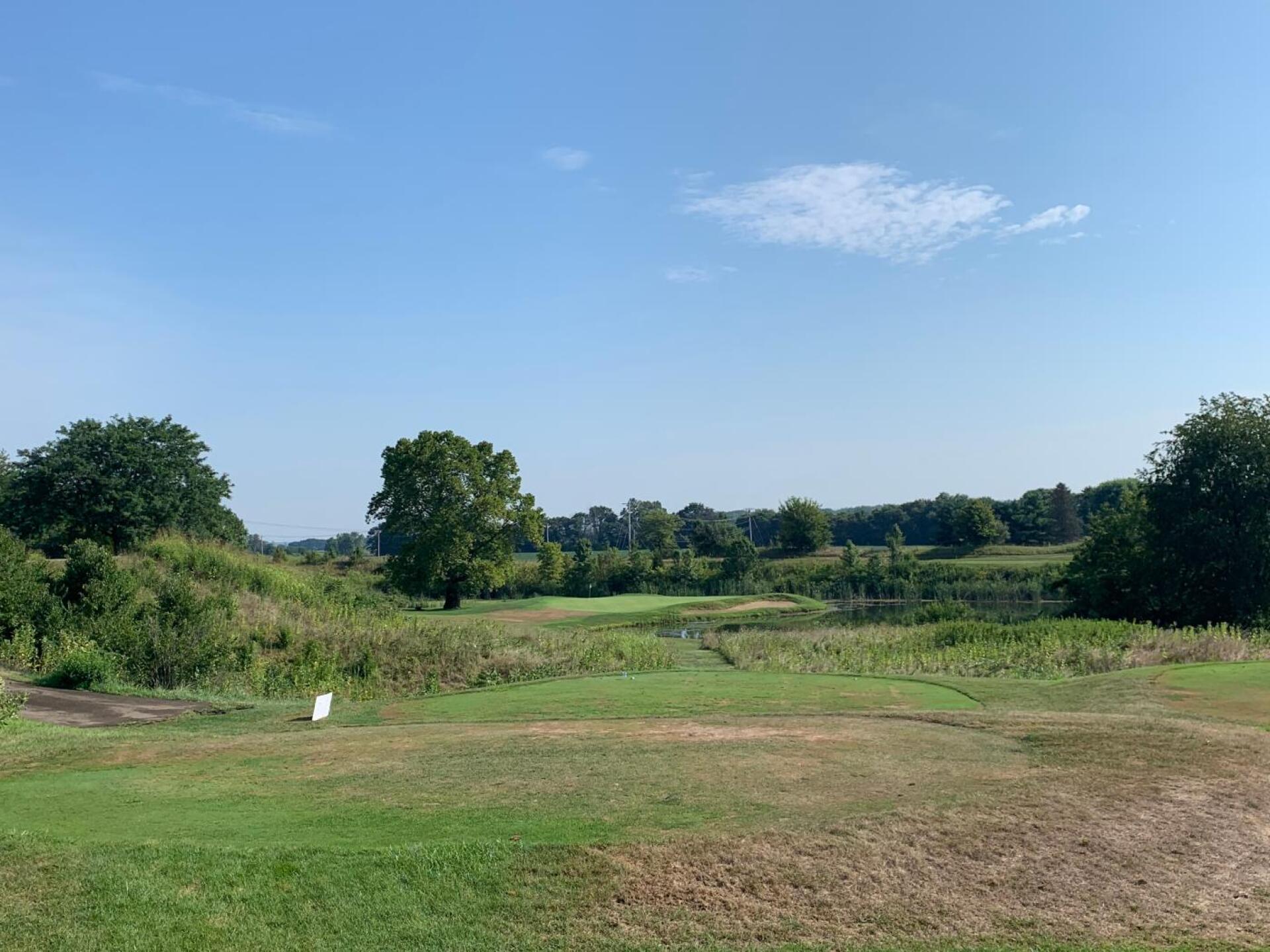 (Photo submitted by Ozcat on 08/19/2019)