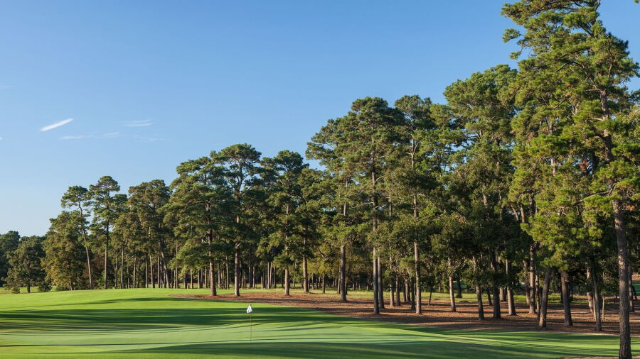 Bluejack National: #4