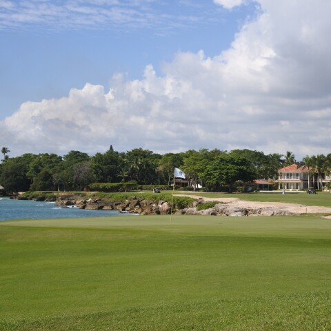 Teeth of the dog - No. 15