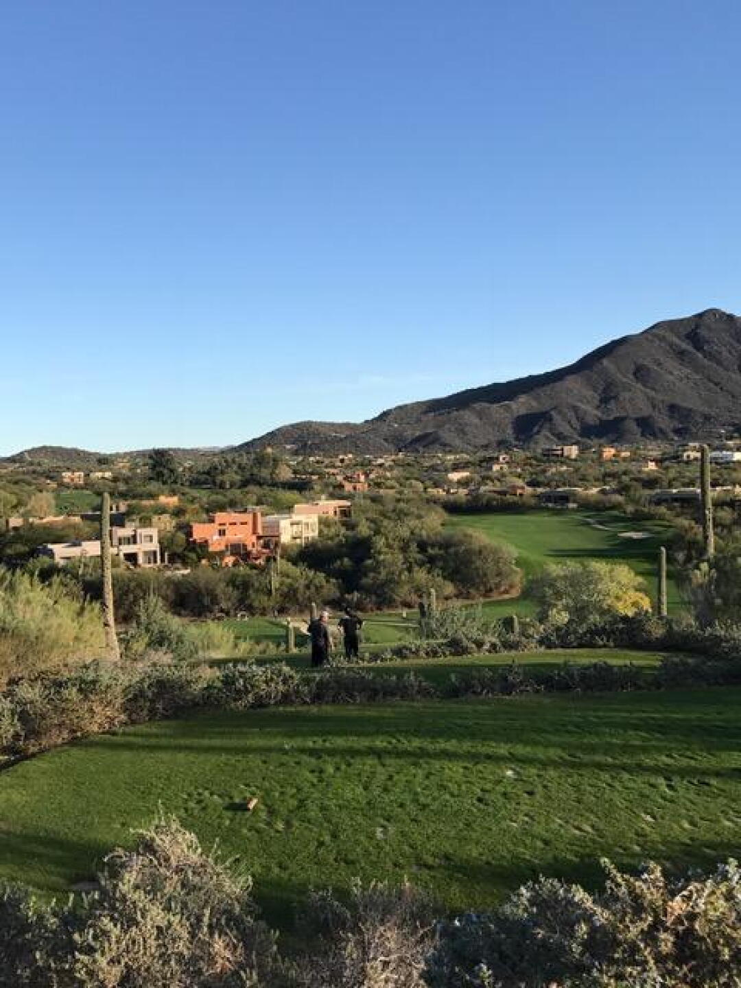 Elevated Par 3 (Photo submitted by dpmontgomery79 on 01/26/2017)