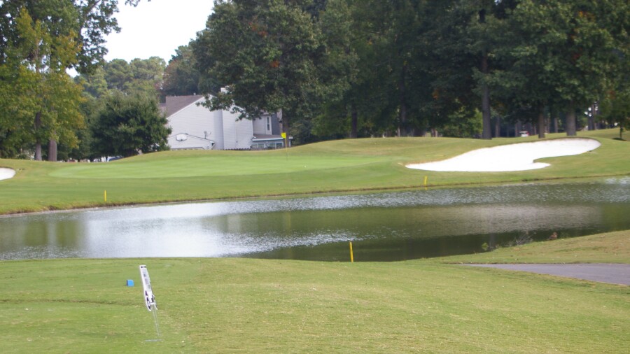 Honey Bee Golf Club - hole 8