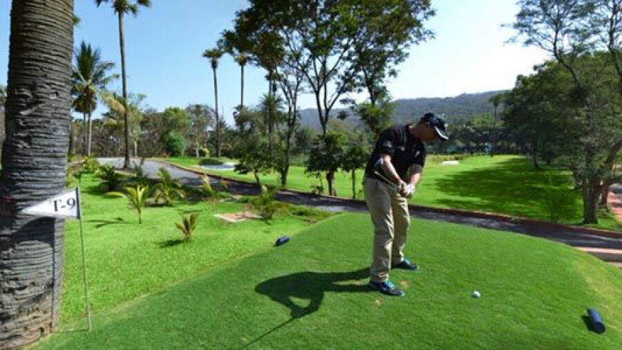 Golden Swan CC: #9