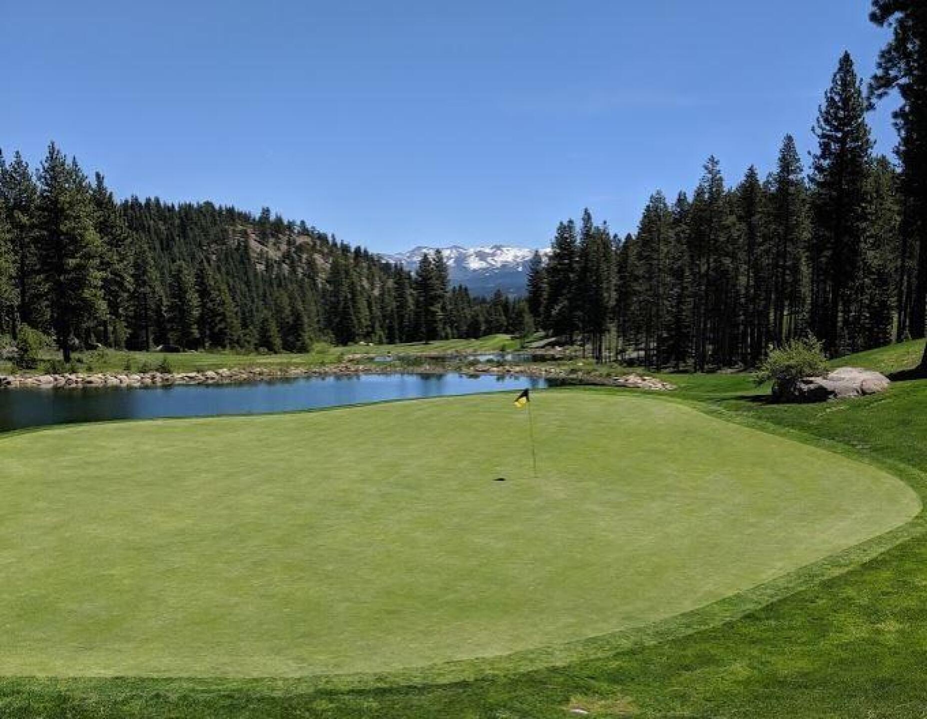 (Photo submitted by sorenj on 07/12/2019)