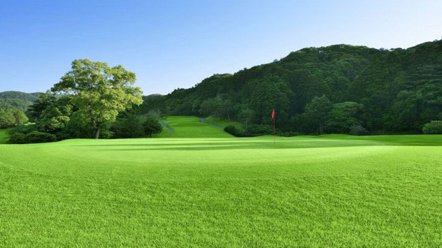 Ohtaki CC - West: #8
