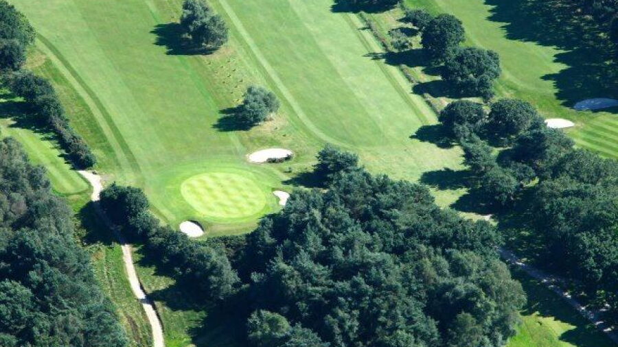 Wareham GC: Aerial view
