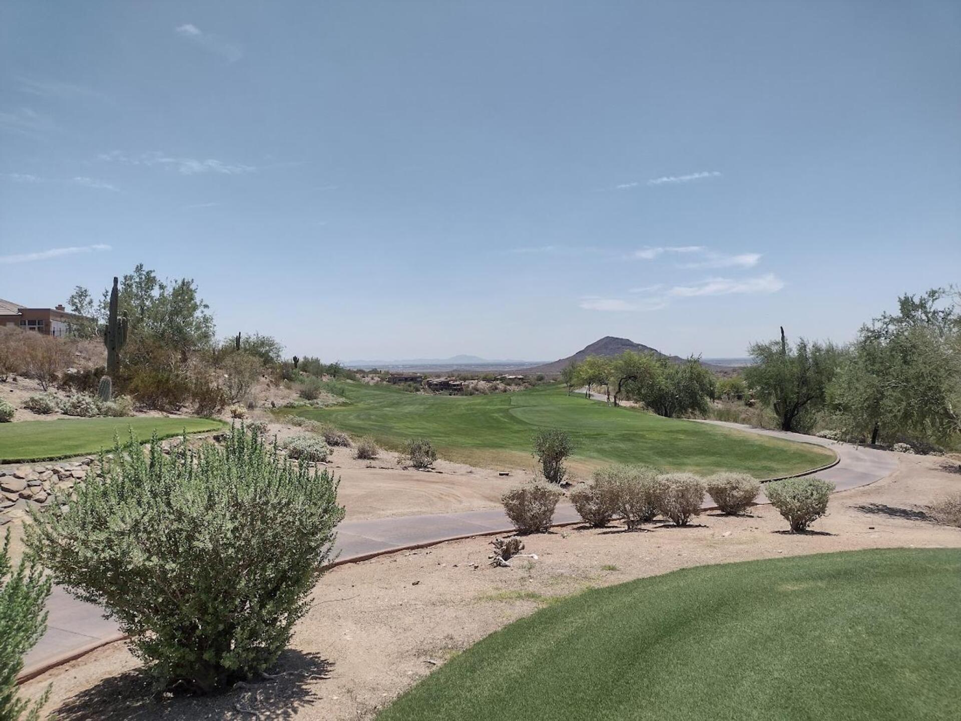 #1 tee (Photo submitted by scottlsu on 08/17/2025)