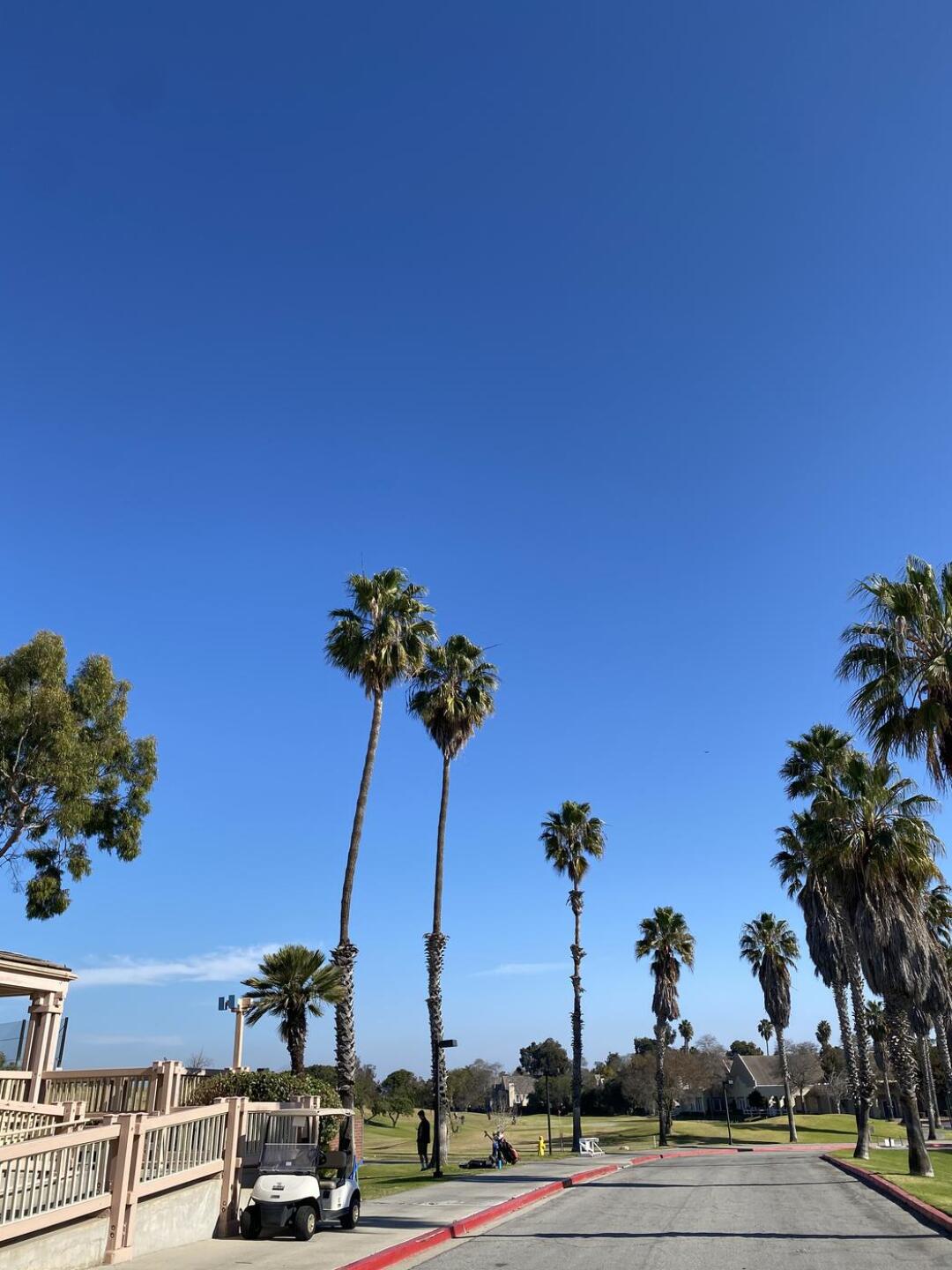 (Photo submitted by ahnyunok on 01/04/2021)