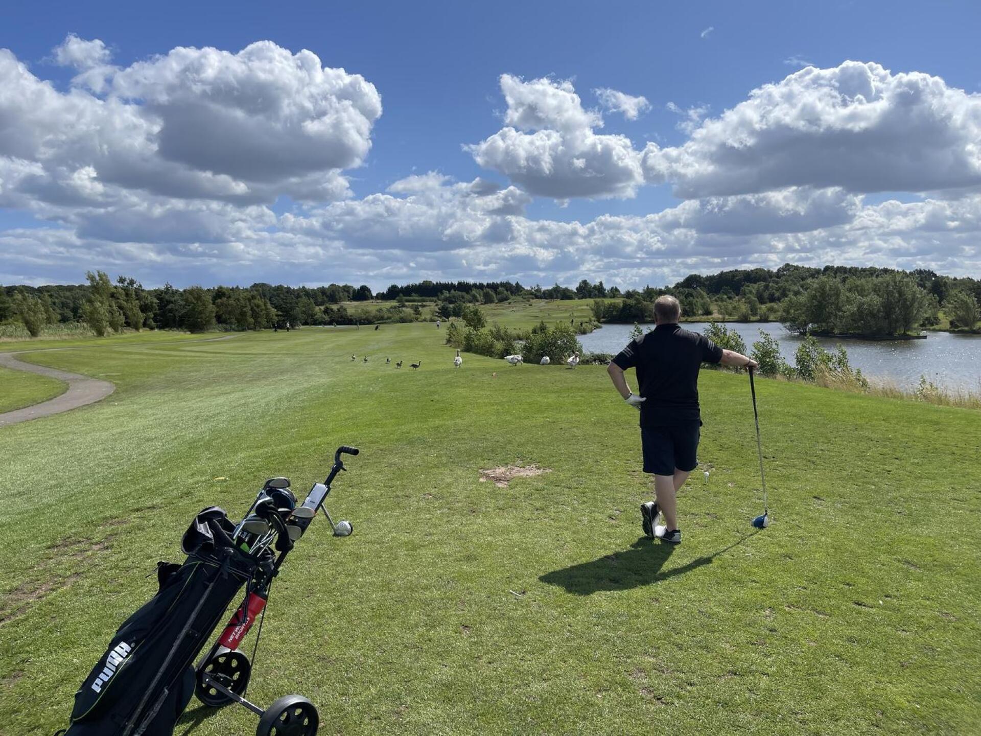 (Photo submitted by NewbieNick on 07/30/2023)