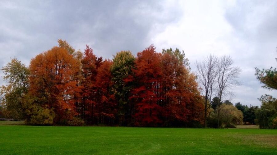 West Ottawa GC