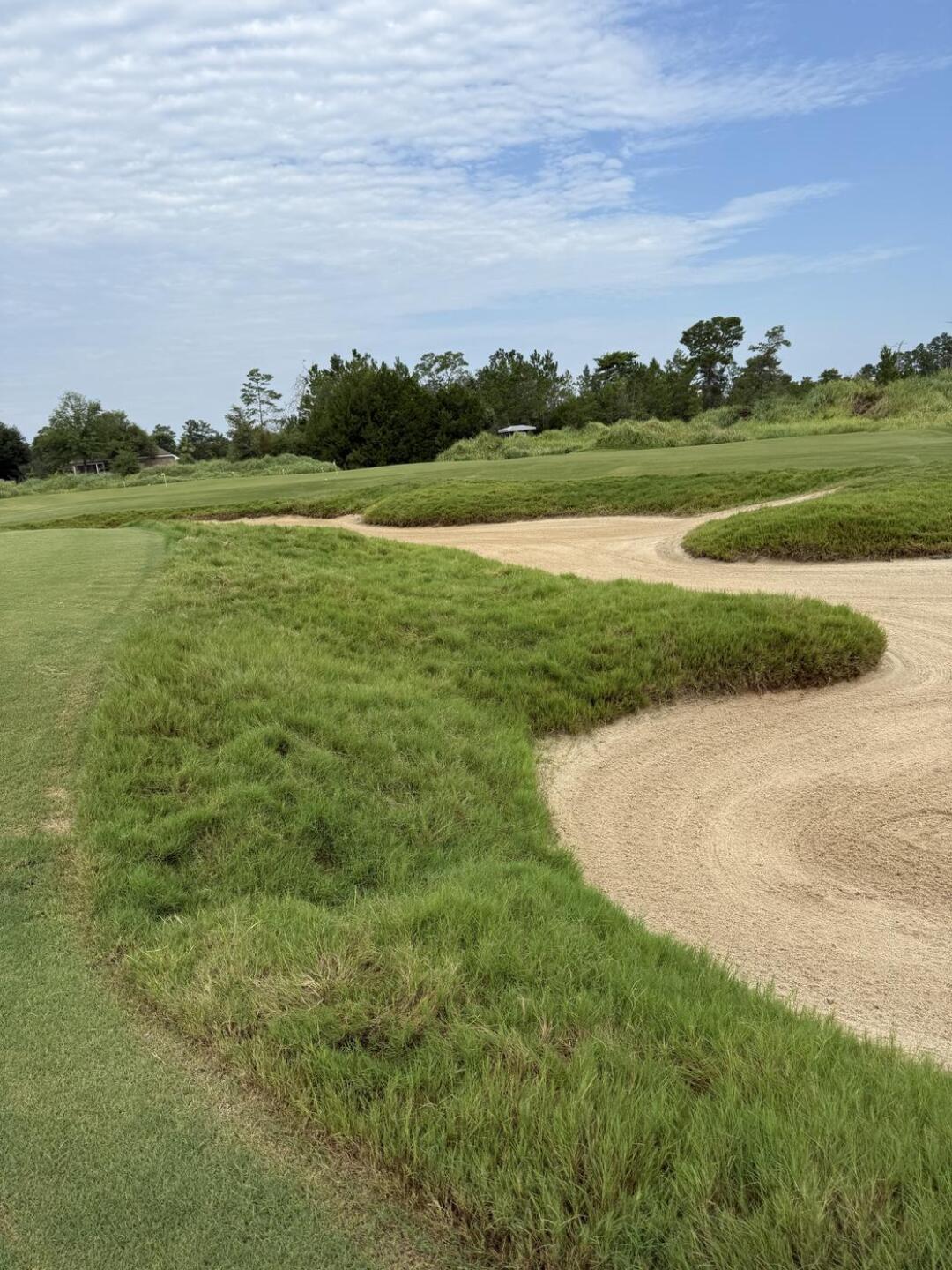 Practice area (Photo submitted by bamagrad05 on 07/24/2025)