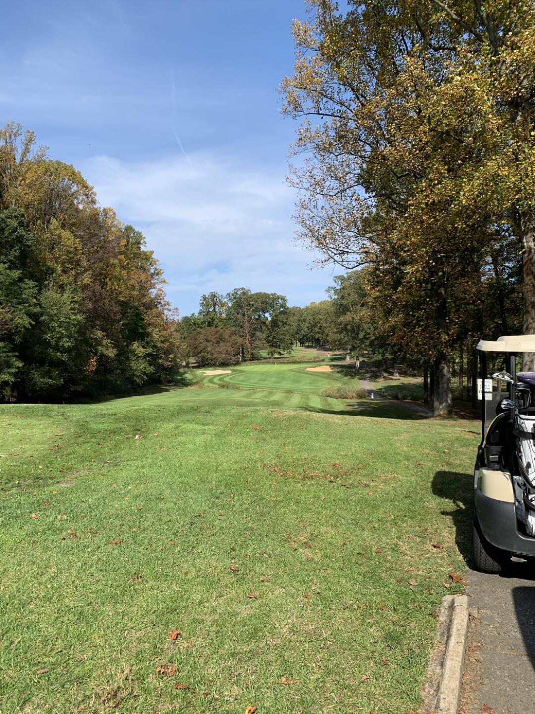 (Photo submitted by didibucci on 10/21/2020)