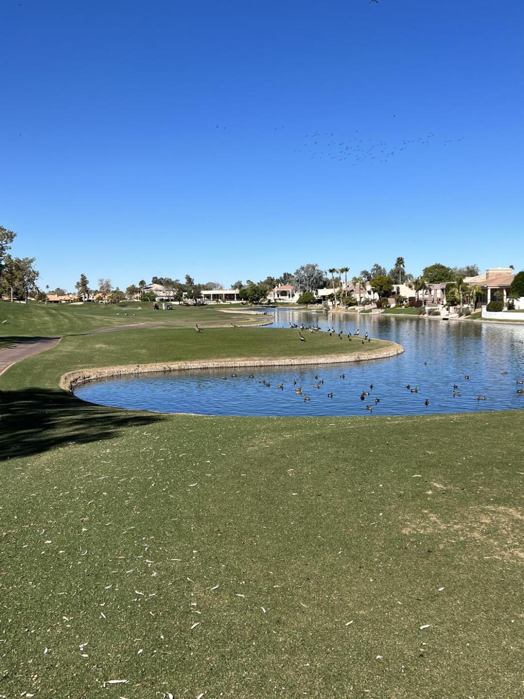 (Photo submitted by u309972334 on 02/08/2022)