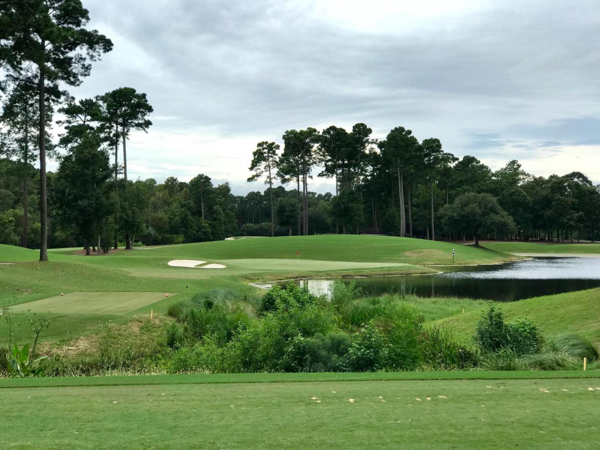 TPC Myrtle Beach, hole 17 (Photo submitted by TimGavrichGP on 10/11/2019)