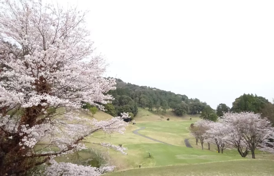 Kumamoto Minami CC: #16