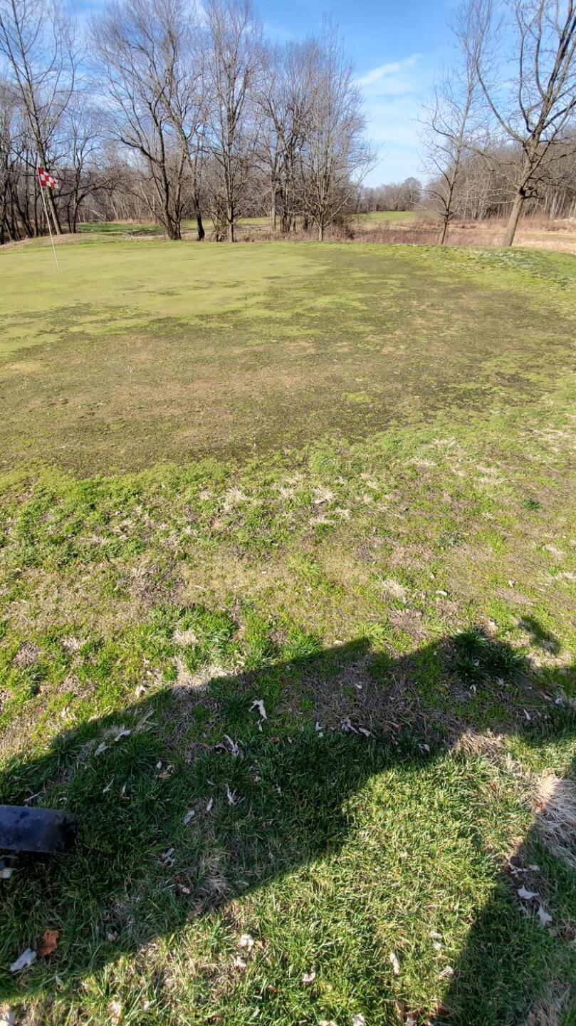 (Photo submitted by Tribefan21 on 12/11/2020)