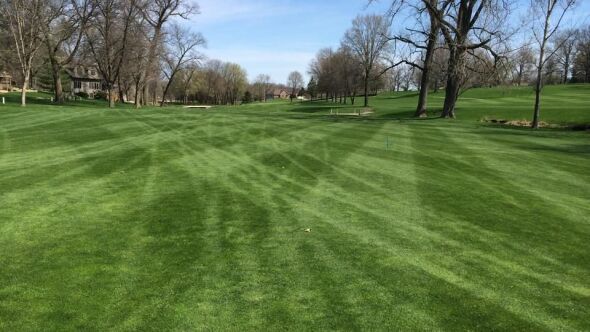 Elmwood CC: #7