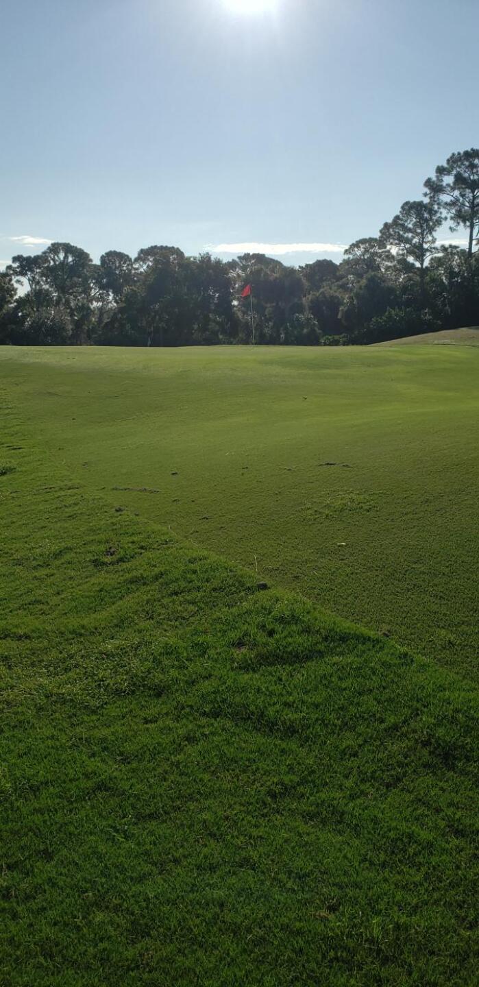 No. 1 green 71yrds out (Photo submitted by KingOsi on 09/10/2019)