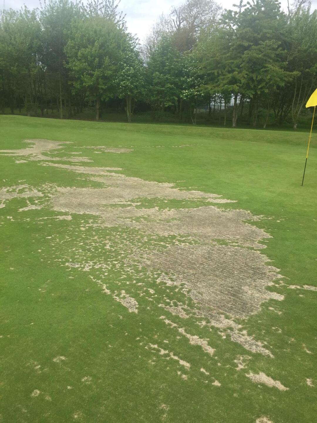 (Photo submitted by SUFCrob on 04/28/2017)