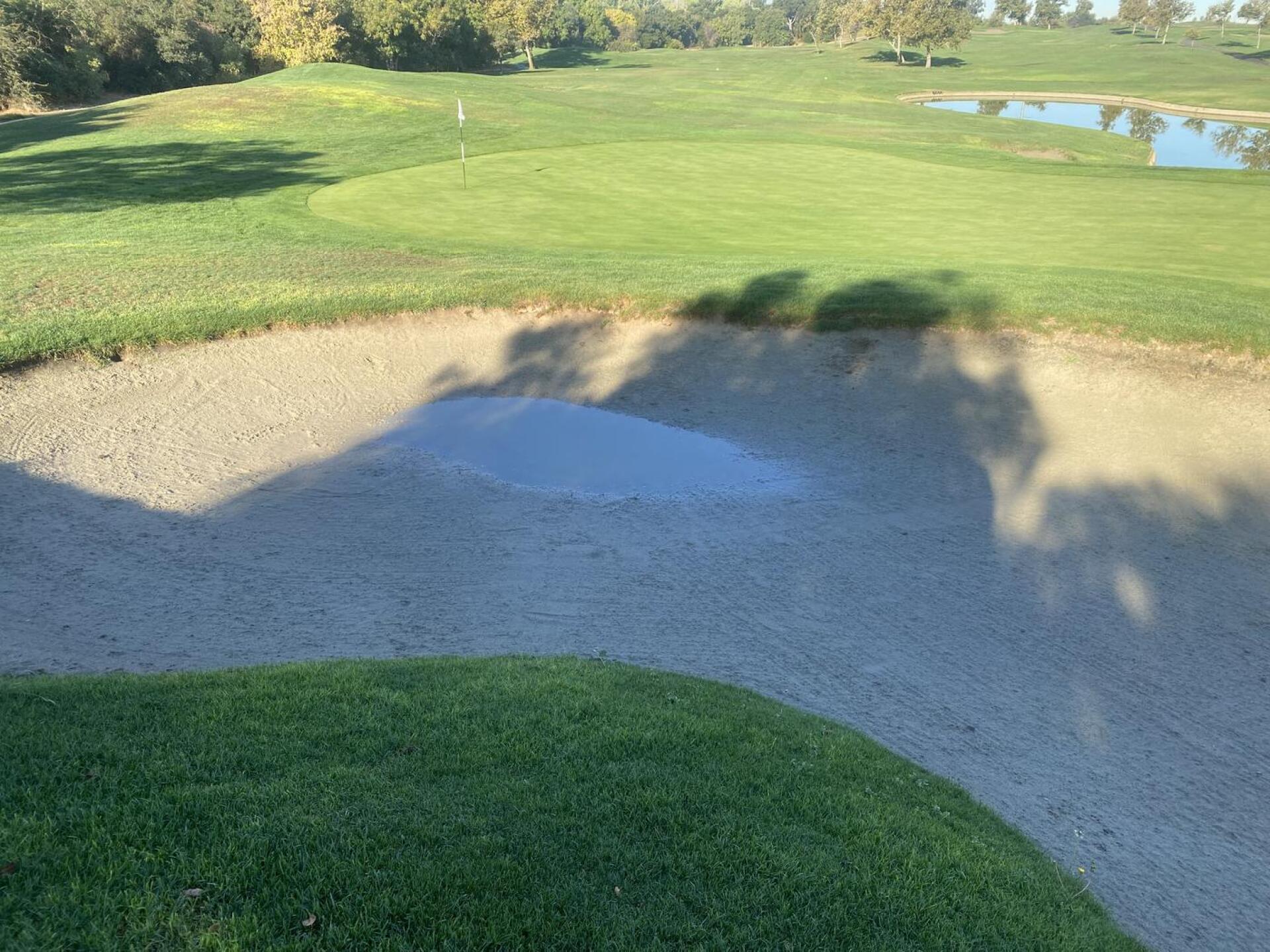 (Photo submitted by Michael2744051 on 10/03/2024)