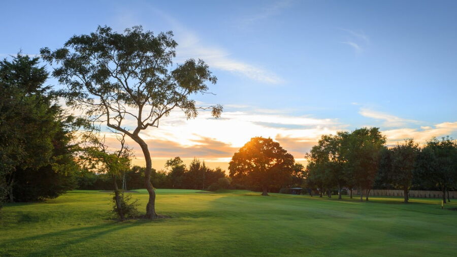 Isle of Wedmore GC: #17