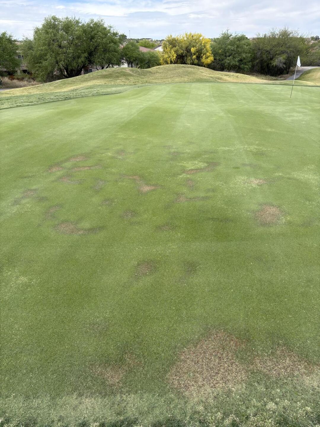 (Photo submitted by u314162531555 on 04/05/2026)