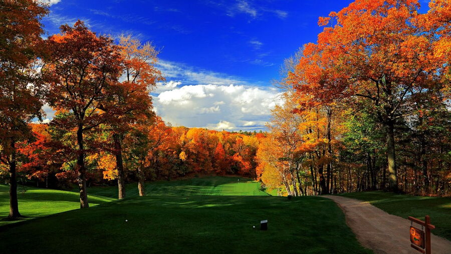 Peninsula State Park GC: #17