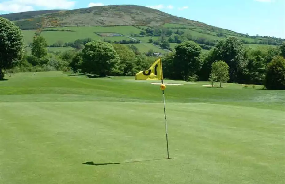 Baltinglass GC: #16