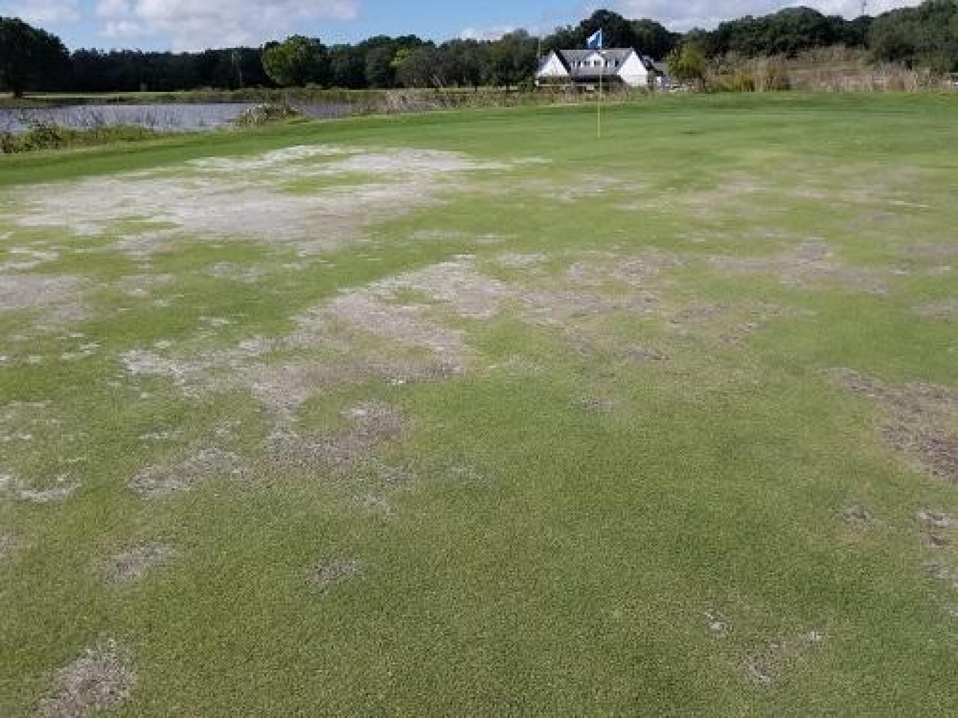 18th green (Photo submitted by 23GreyGhost45 on 11/09/2019)