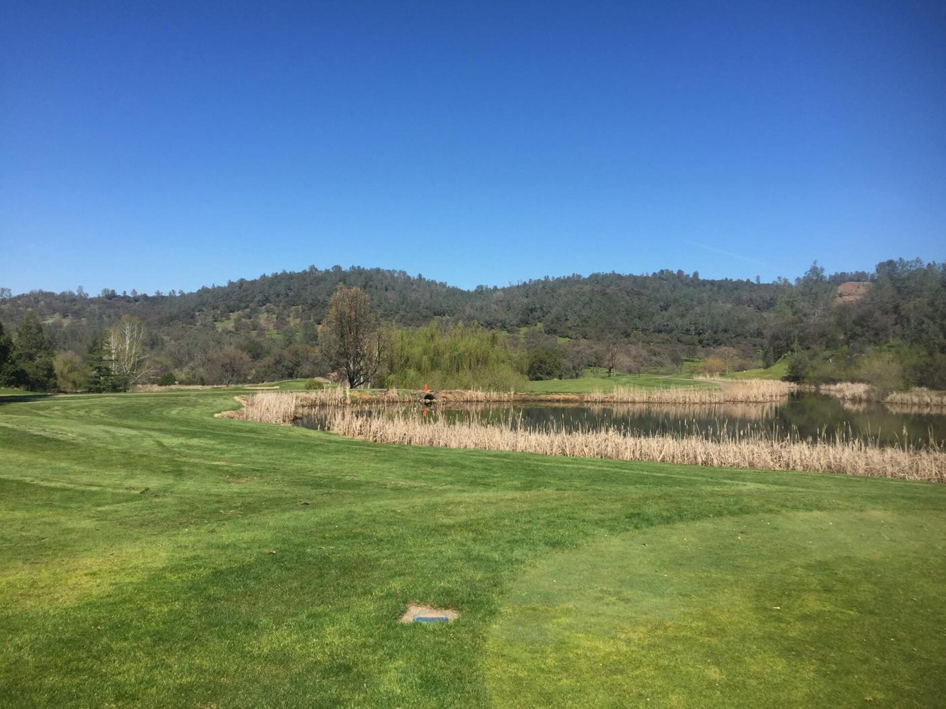 (Photo submitted by TTrim on 03/15/2017)