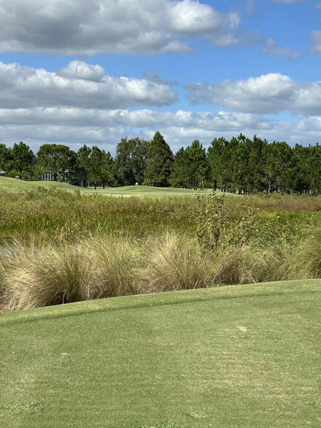 (Photo submitted by dlpetrella on 10/25/2024)