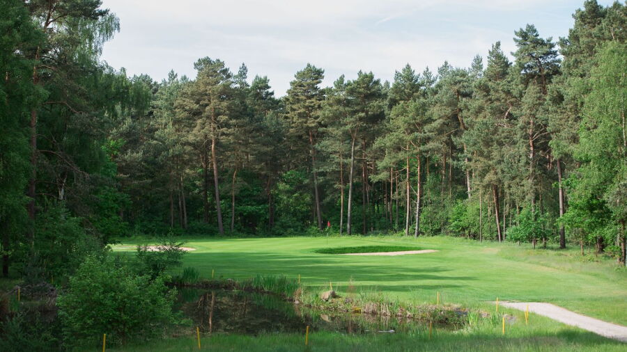 Burgdorfer GC - Short: #3