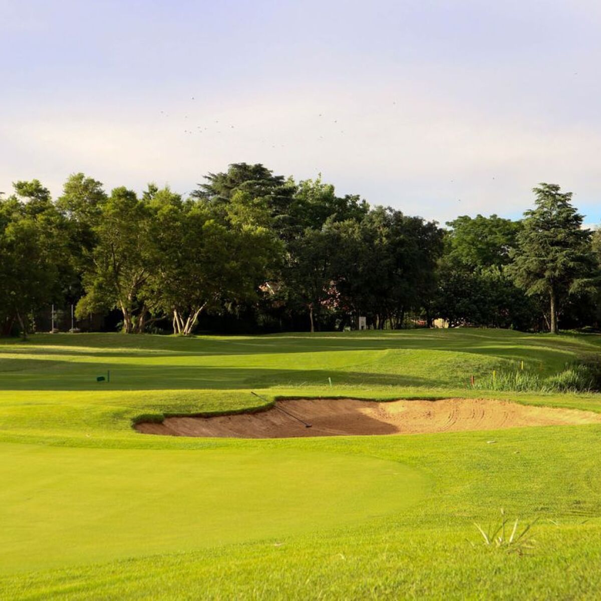 Emfuleni Golf and Country Club in Vanderbijlpark, Sedibeng, South Africa Golf Advisor