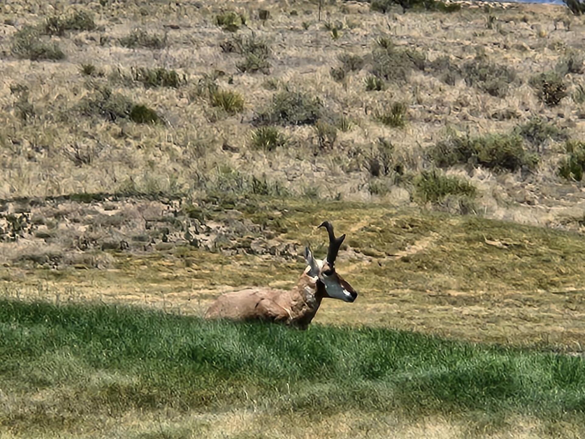 (Photo submitted by mQHSuT30bwqkPbn87ts6 on 06/30/2026)