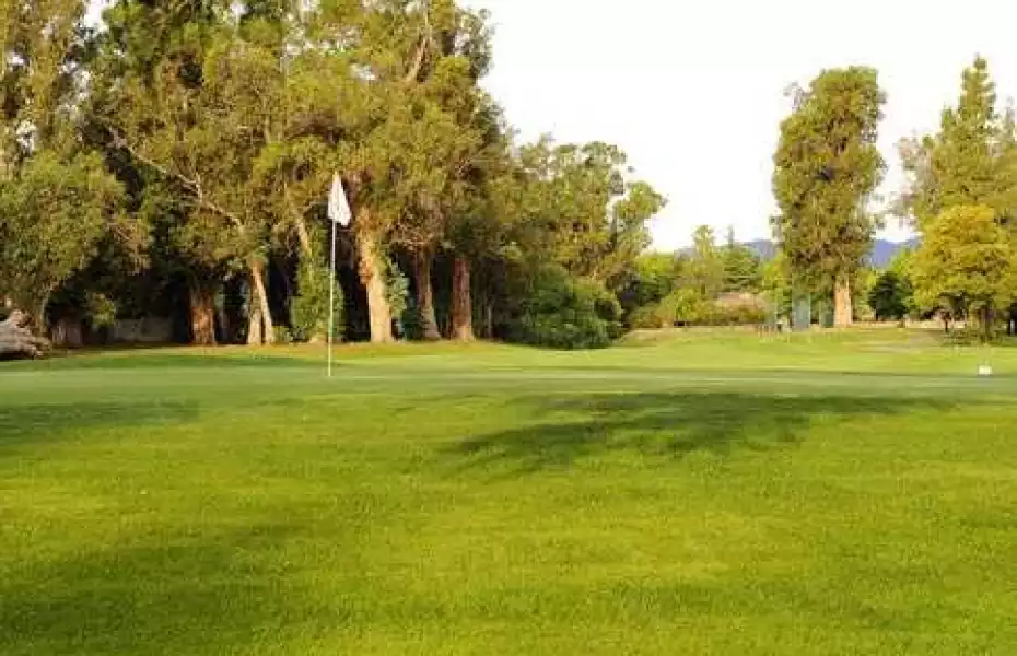 Green Tree GC