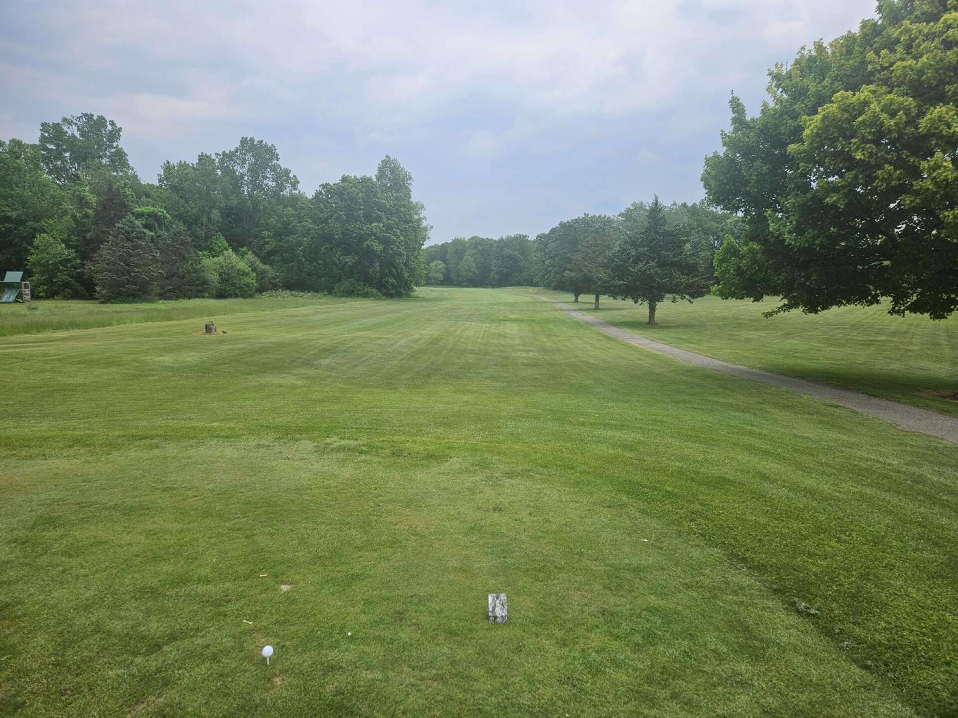 (Photo submitted by u314161622535 on 03/11/2026)