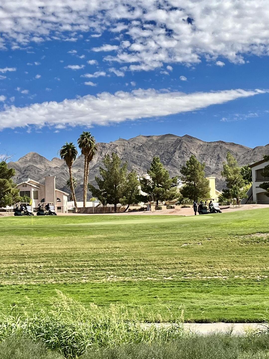 (Photo submitted by Kycat56 on 09/21/2022)