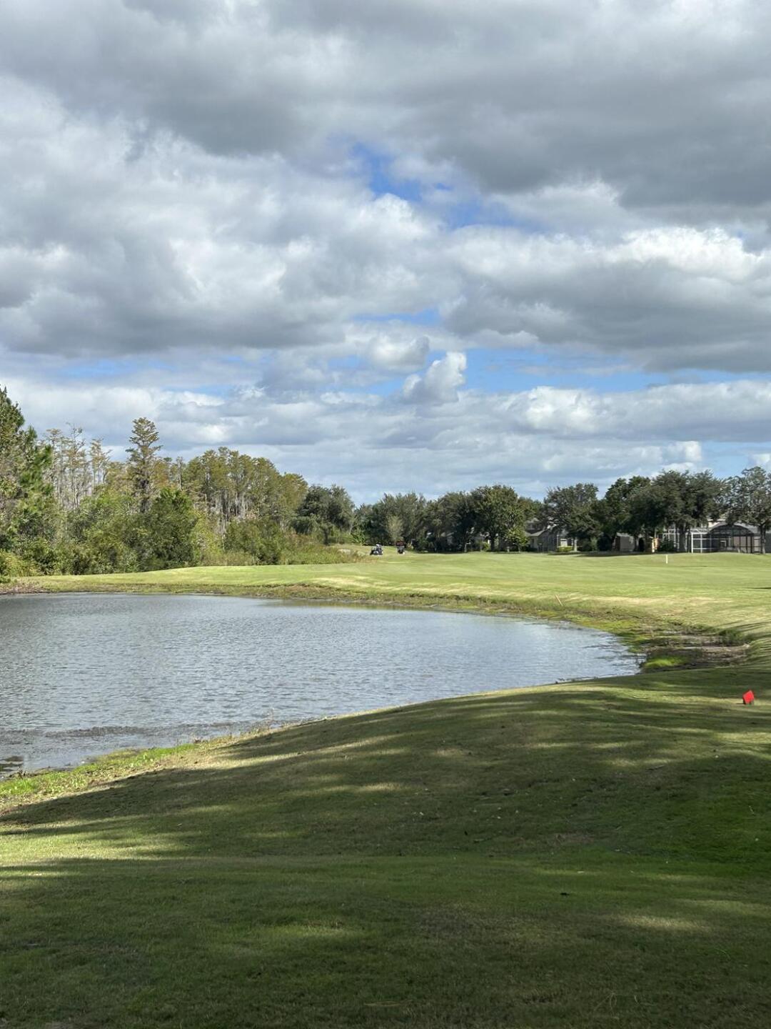 (Photo submitted by dlpetrella on 10/25/2024)