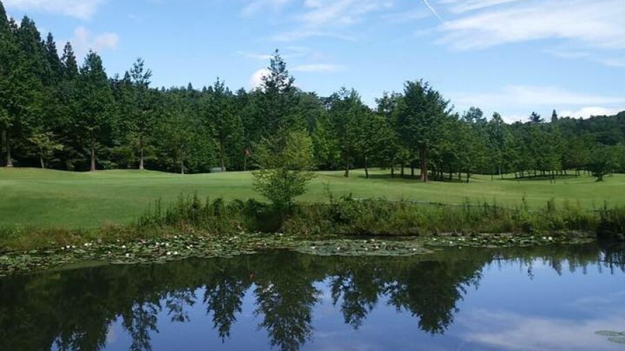 Eight Golf Garden