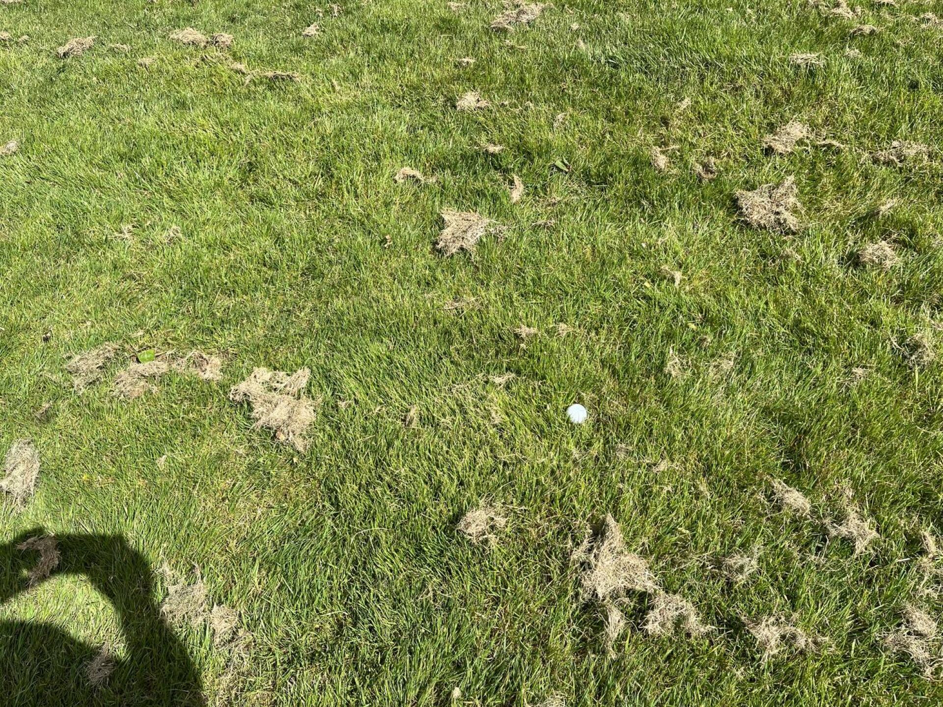 (Photo submitted by John3620 on 04/24/2024)