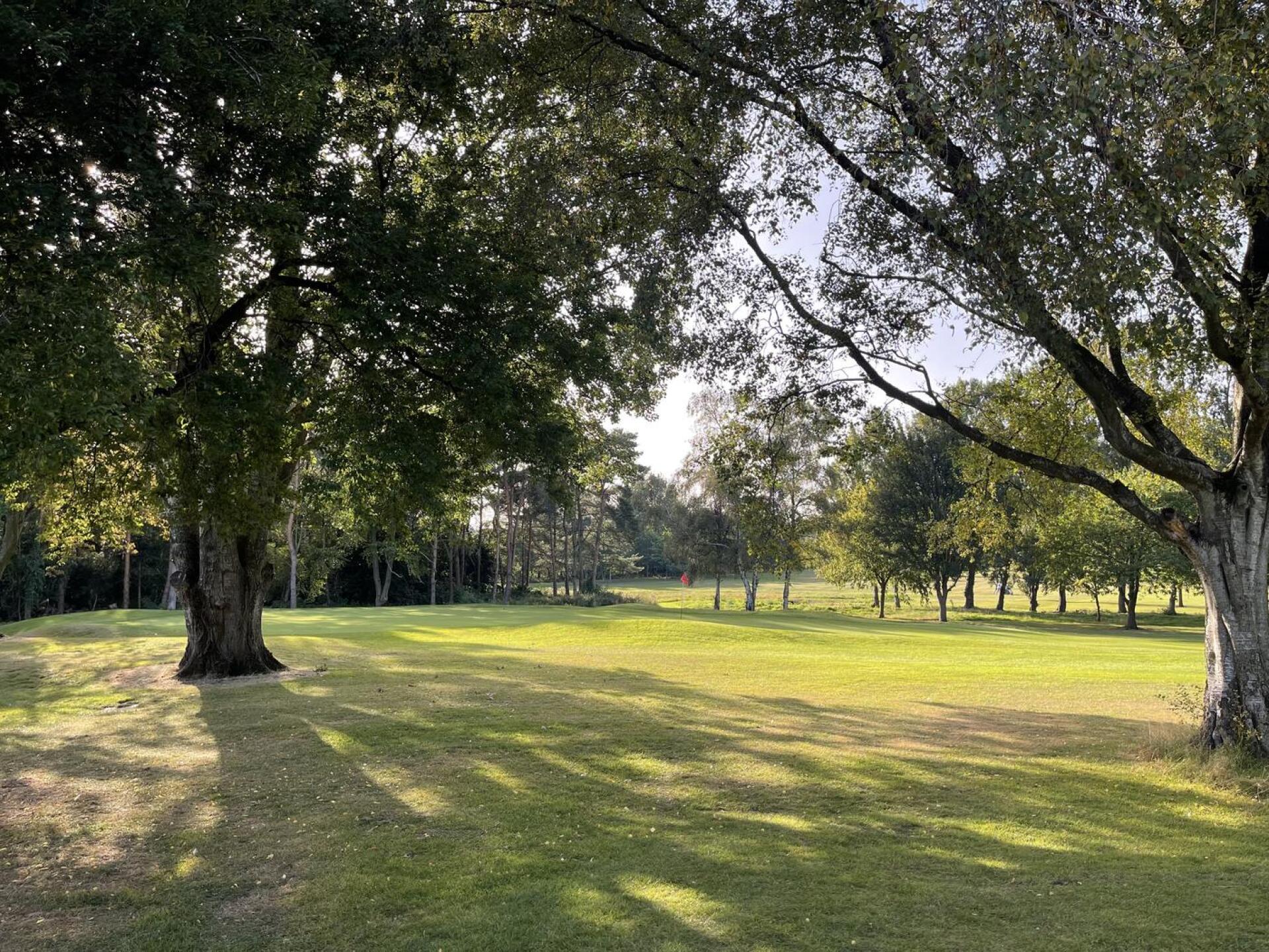 (Photo submitted by CrazyAlman on 09/06/2023)