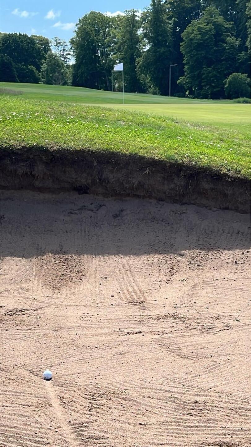 (Photo submitted by gqkw3Qnhsp8G85QbQAIh on 07/09/2025)